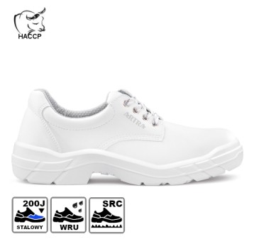 ARAM 921 1010 S2 SRC