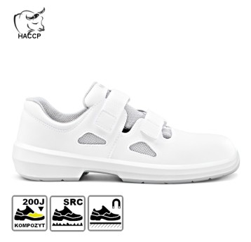 ARIES 800 1010 S1 SRC