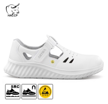 ARMEN 9007 1010 O1 FO ESD SRC