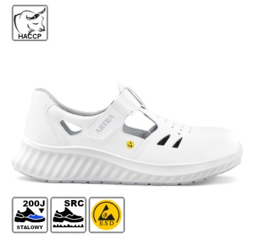 ARMEN 9007 1010 S1 ESD SRC