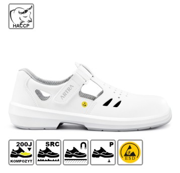 ARMEN 9008 1010 S1 P ESD SRC