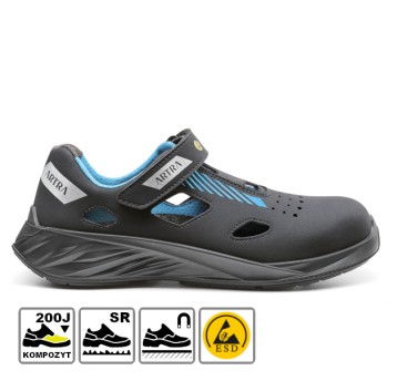 ARYA 300 619060 S1 ESD SR