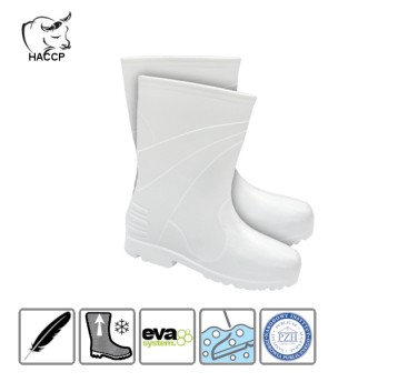 Kalosze damskie WELLINGTON 874